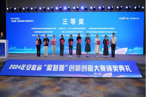 公司榮獲2024年安徽省“徽姑娘”創新創意大賽三等獎